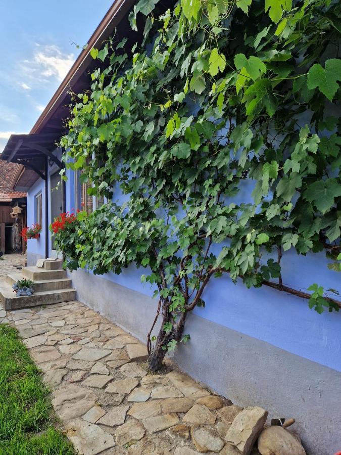 Floresti House 21 Roandola Exterior foto